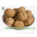 Groothandel Chinese Walnut Kernels Pieces (LP) Lichtkleur